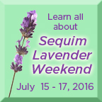 Sequim Lavender Weekend button