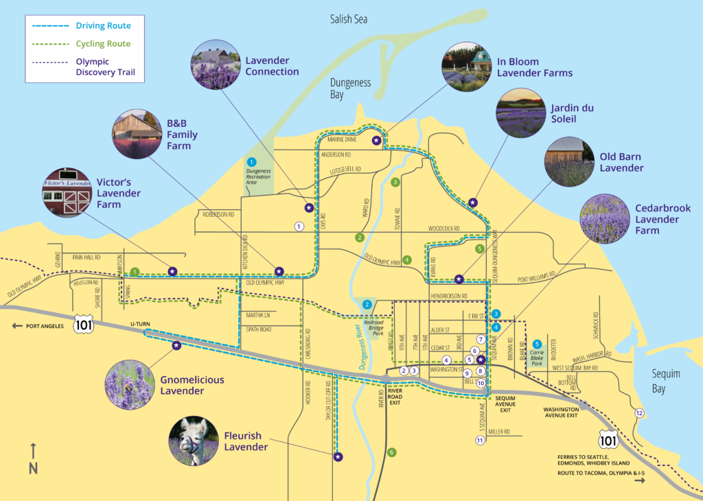 Map of the Sequim Lavender Trail driving and cycling route, 9 lavender farms, blue water yellow land